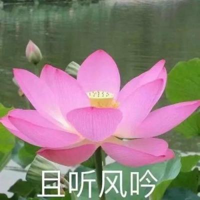 河北省平山县人武部挖掘红色教育资源